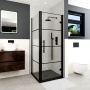 Delphi Factor Matt Black 8mm Hinged Door Shower Enclosure