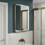 Delphi Genoa Brushed Brass Inset Framed LED Touch Sensor Bathroom Mirror 700mm x 500mm