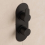 Delphi Loop Matt Black 2-Outlet Dual Concealed Shower Valve