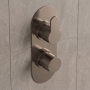 Delphi Loop Brushed Pewter 2-Outlet Dual Concealed Shower Valve