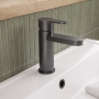 Delphi Loop Brushed Pewter Mono Basin Mixer Tap (inc Press Top Waste)