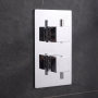 Delphi Nectar Chrome 2-Outlet Dual Concealed Shower Valve