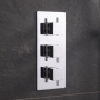 Delphi Nectar Chrome 2-Outlet Triple Concealed Shower Valve