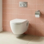 Delphi Neptune Wall Hung Toilet (inc Soft Close Seat)