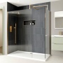 Delphi Optics Brushed Brass Walk-In Shower Enclosure