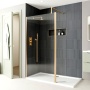 Delphi Optics Brushed Brass Wet Room Shower Screen with Return Panel