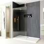 Delphi Optics Brushed Brass Wet Room Shower Screen