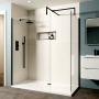 Delphi Optics Matt Black Walk-In Shower Enclosure