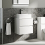 Delphi Penthouse 500mm 2-Drawer Wall Hung Countertop Vanity Unit