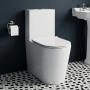 Delphi Porter Rimless Closed Back Close Coupled Toilet (inc Soft Close Slim Seat)