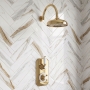 Delphi Windsor Brushed Brass Dual Concealed Shower Set with Large Drencher Head