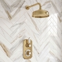 Delphi Windsor Brushed Brass Dual Concealed Shower Set with Fixed Head
