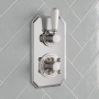 Delphi Windsor Chrome 2-Outlet Dual Concealed Shower Valve