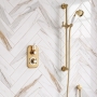 Delphi Windsor Brushed Brass Dual Concealed Shower Set with Slide Rail Kit