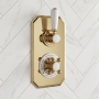 Delphi Windsor Brushed Brass 1-Outlet Dual Concealed Shower Valve