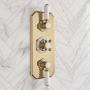 Delphi Windsor Brushed Brass 2-Outlet Triple Concealed Shower Valve