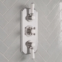 Delphi Windsor Chrome 2-Outlet Triple Concealed Shower Valve