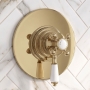 Delphi Windsor Brushed Brass 1-Outlet Concentric Concealed Shower Valve