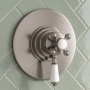 Delphi Windsor Brushed Pewter 1-Outlet Concentric Concealed Shower Valve