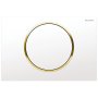 Geberit Sigma10 Single Flush Plate - White/Gold