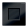 Geberit Type30 Urinal Flush Battery - Black/Chrome