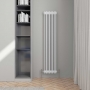 Delphi Hatfield Vertical Traditional 3-Column Radiator