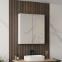 Parade 600mm 2-Door Mirrored Bathroom Cabinet