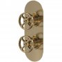 Nuie Revolution Concealed Shower Valve with Diverter Dual Handle - Brushed Brass