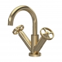 Nuie Revolution Mono Basin Mixer Tap with Waste - Brushed Brass