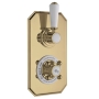 Hudson Reed Topaz Twin Concealed Shower Valve Dual Handle - Brushed Brass
