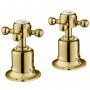 JTP Grosvenor Cross Panel Valves Pair - Polished Gold