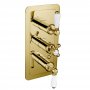 JTP Grosvenor Lever Vertical Thermostatic Concealed 2 Outlets Shower Valve Triple Handle - Polished Gold/White