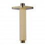 JTP HIX Ceiling Mounted Shower Arm 150mm Length - Brushed Brass