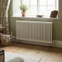 MaxHeat Evesham Horizontal Traditional 2-Column Radiator