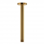 Niagara Equate Ceiling Round Shower Arm 221mm Length - Brushed Brass