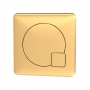 Nuie Square Dual Flush Push Button - Brushed Brass