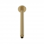 Nuie Arvan Round Ceiling Mounted Shower Arm 310mm Length - Brushed Brass