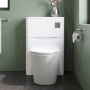 Lunar 550mm Back-to-Wall WC Unit