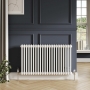 Orbit Noble Gloss White Horizontal Column Radiator
