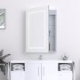 Prestige Reflections Fine LED Mirror Cabinet 700mm H x 500mm W