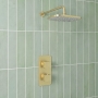 Prestige Kolt Thermostatic Concealed Shower Valve with Fixed Shower Head and Arm - Brushed Brass