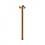 RAK Ceiling Mounted Shower Arm 300mm Length - Brushed Gold