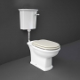 RAK Washington Low Level Toilet with Horizontal Outlet - Greige Soft Close Wood Seat