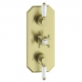 Signature Eternal Traditional Thermostatic 2 Outlet Concealed Shower Valve Triple Handle - Brushed Brass