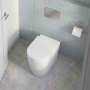 Signature Nazca Rimless Short Projection Back to Wall Toilet (inc Soft Close Seat)
