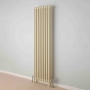 EcoRad Legacy Special Finish Vertical Column Radiator