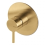Vema Tiber Built In 1 Outlet Concealed Shower Valves - Brushed Brass