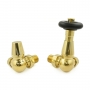 West Jaguar TRV Corner Thermostatic Radiator Valve and Lockshield - Un-Lacquered Brass