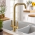Abode Pico Quad Monobloc Kitchen Sink Mixer Tap - Brushed Brass
