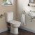 Armitage Shanks Sandringham 21 Close Coupled Toilet with Dual Flush Cistern - Soft Close Seat